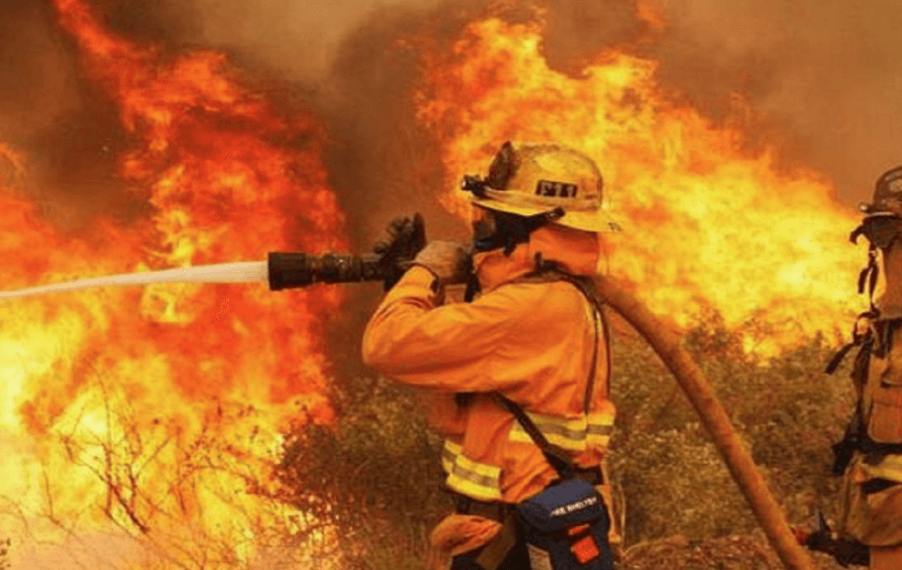 ما هي أهم الكتب الصادرة في مجال الأمن والسلامة؟