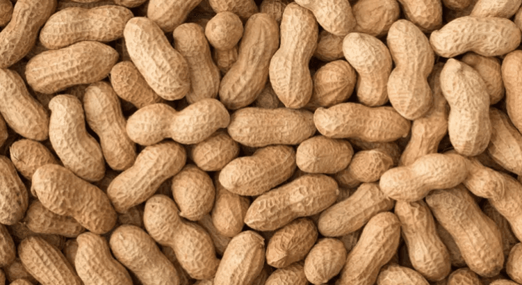 يمنع الإصابة بالخرف ويخفض الكوليسترول!