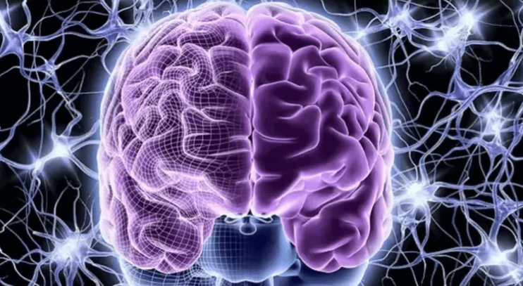 حلان سحريان لتعزيز وظائف المخ.. تعرف عليهما