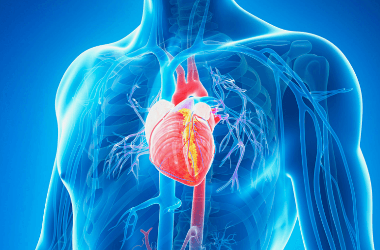 لقلب صحي جيد.. احذر هذه الأطعمة!