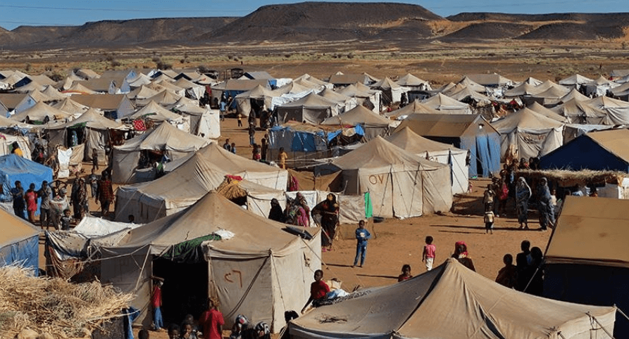 نازحو السودان.. وعثاء الدرب للنجاة من الحرب