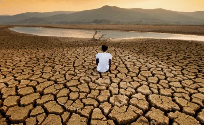 نار الجفاف في البرازيل تشعل أسعار القهوة عالمياً