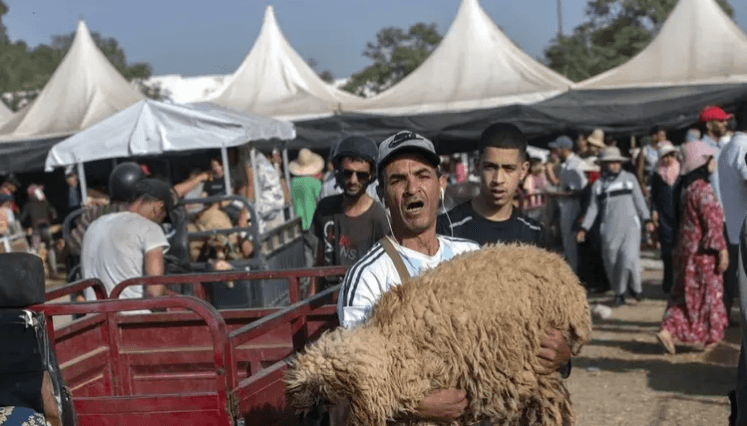 دولة عربية كبيرة تمنع ذبح الأضاحي هذا العام!
