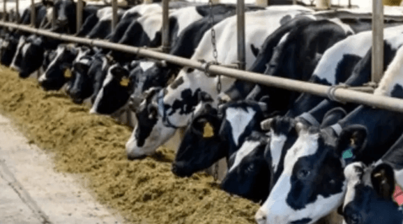 دولة عربية تقدم دعماً عاجلًا لهذه الفئة لمواجهة كارثة