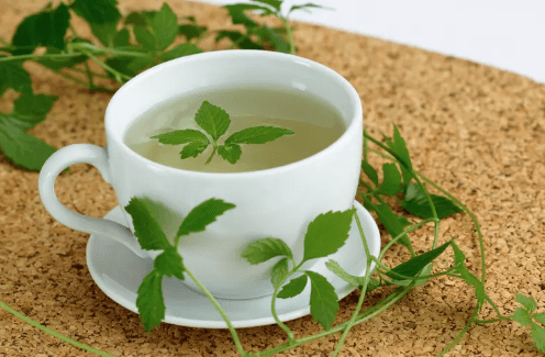 ما فوائد “عشبة المعجزة”؟.. طبيب يجيب