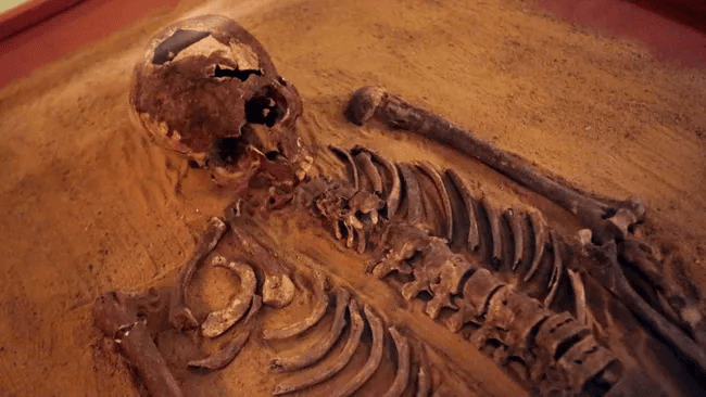 كيف يتمكن علماء الآثار من تحديد جنس الهيكل العظمي؟