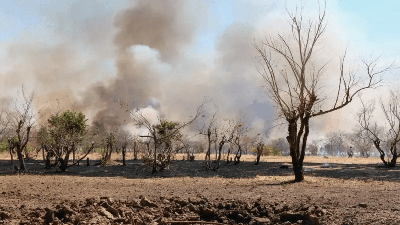 السودان.. معارك عنيفة تشتعل في ولايات كردفان الثلاث