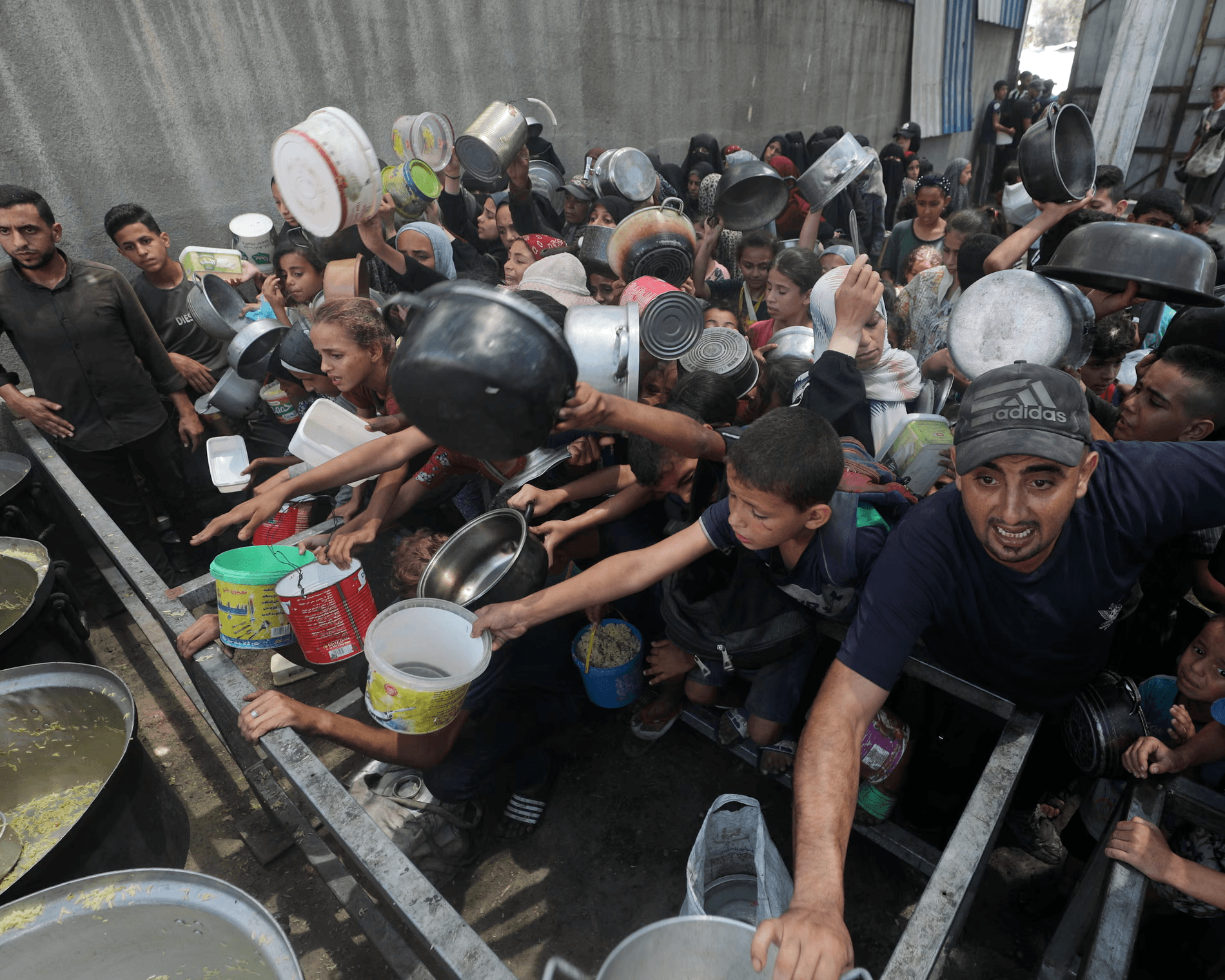 صرخة 209 دبلوماسي أوروبي: الوقت ينفد لإنقاذ غزة