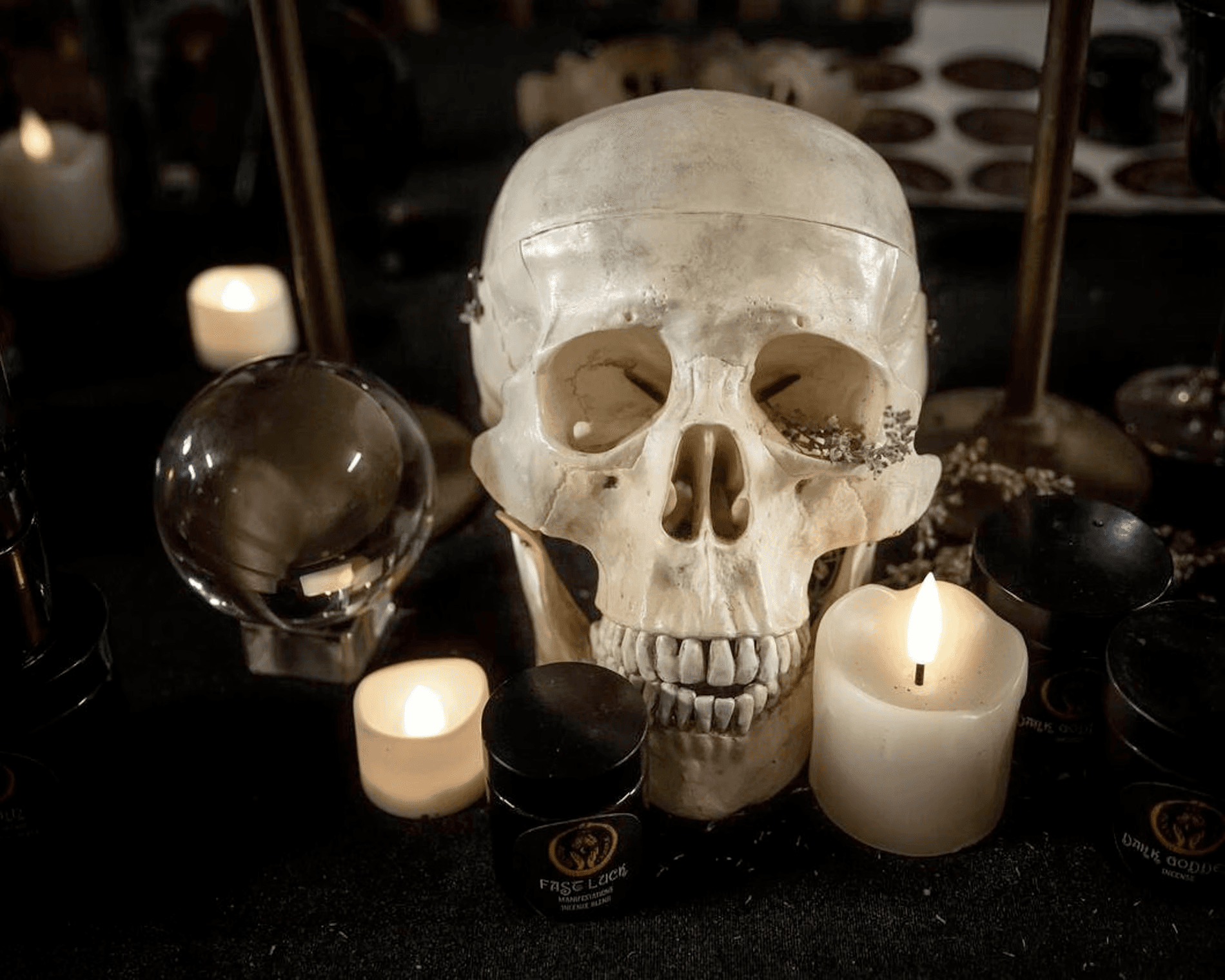 تجارة الجماجم البشرية في بريطانيا تهدد القانون والأخلاق