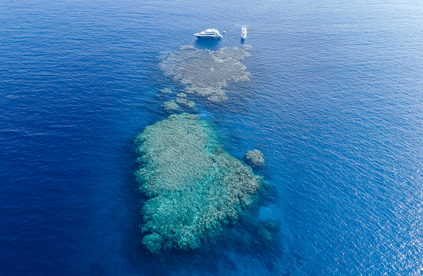 صفقة تاريخية: مصر والسعودية والإمارات تطور موناكو البحر الأحمر بـ25 مليار دولار