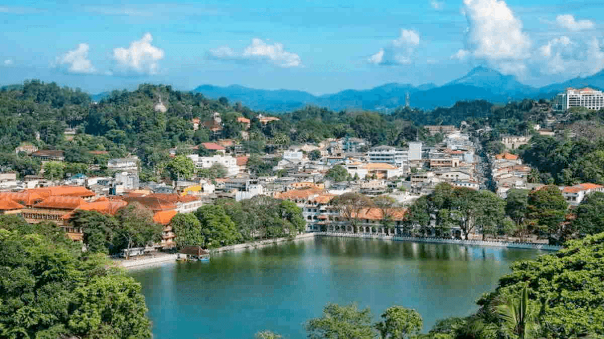 رعب في سريلانكا.. ثعابين ضخمة تقتحم الفنادق!