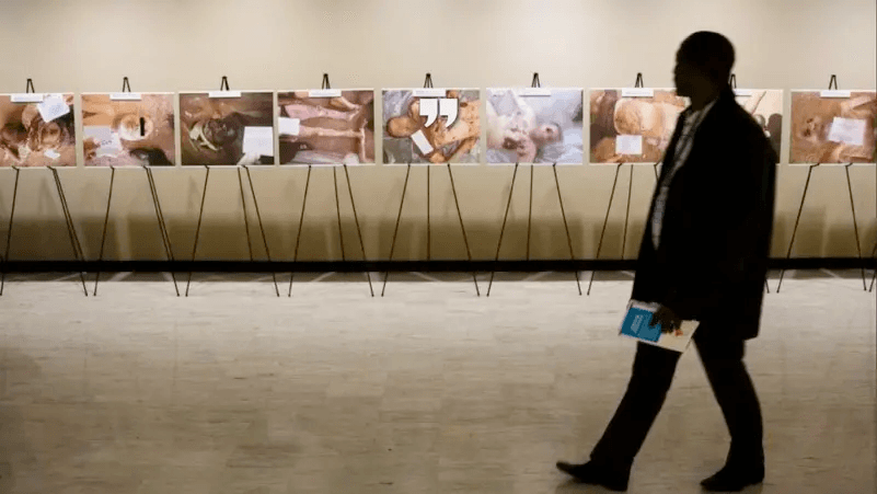 مؤسس “ملفات قيصر”: نظام الأسد لم يسقط والعدالة غائبة