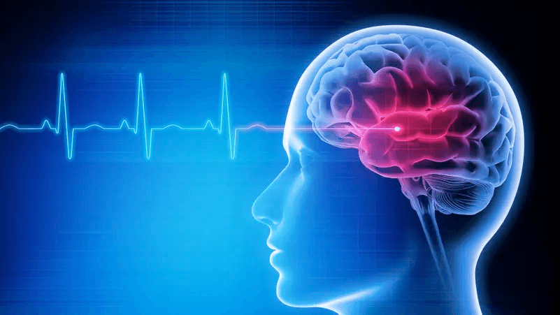 اختراق طبي واعد.. لا تلف للدماغ بعد السكتة وتحد من التلف العصبي
