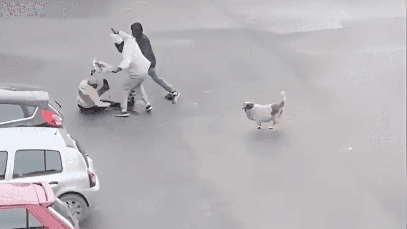 في وضح النهار.. لماذا لم يتحرك أحد لإنقاذ امرأة من السلب والاعتداء في شوارع تونس؟