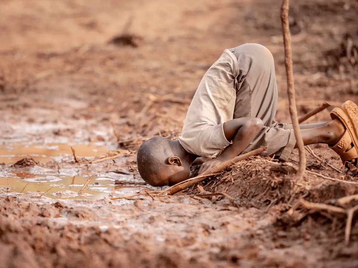 المثقف العربي ودوره في زمن الأزمات: بين التفسير والتغيير