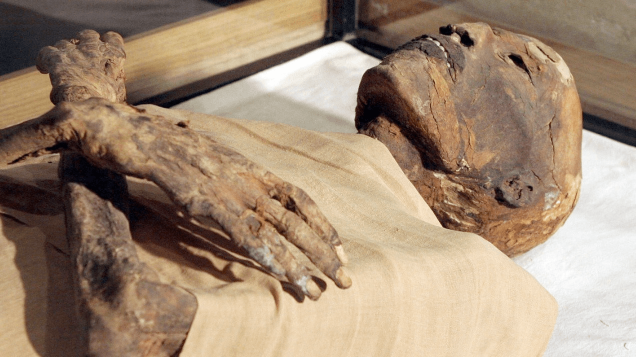 كنز أثري في المنيا.. مقبرة رومانية تكشف أسرار البهنسا