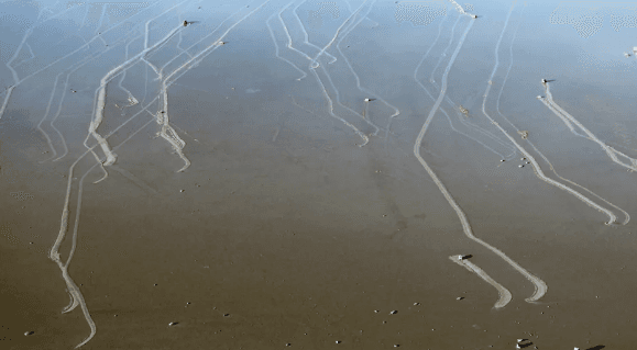 “وادي الموت”.. خبراء يكشفون خفاياه!