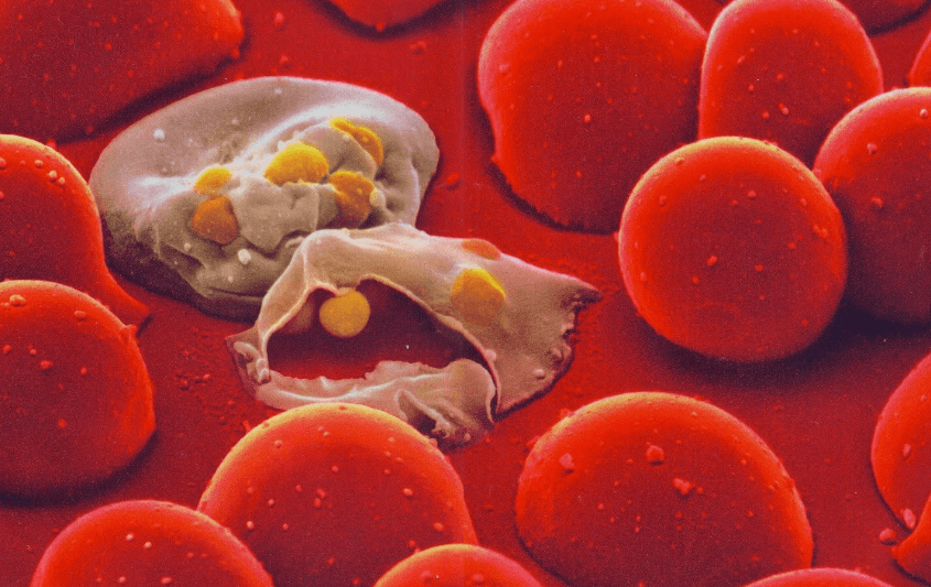 تحذير من عدو عابر للحدود.. ما هو؟