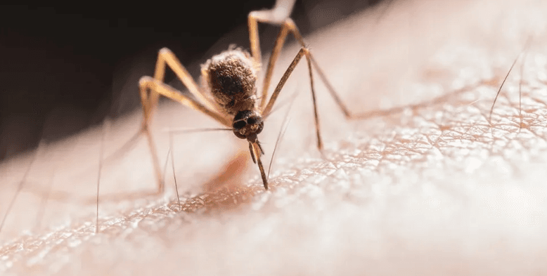 فيروس قاتل يجبر ولاية أميركية على فرض حظر منزلي