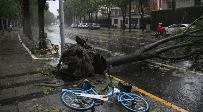 كيف اجتاح إعصار “بيبينكا” الأقوى منذ عام 1949 شنغهاي؟