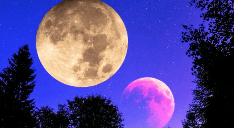 قمران في السماء.. هل يشكل الضيف الجديد خطورة على العالم؟