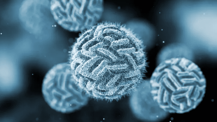 وباء يجتاح السودان.. لا أدوية ولا أسرّة وأطباء في قلب العاصفة