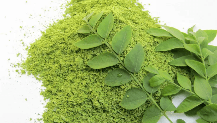 منها فقدان الوزن.. 9 فوائد مذهلة لأوراق الكاري!