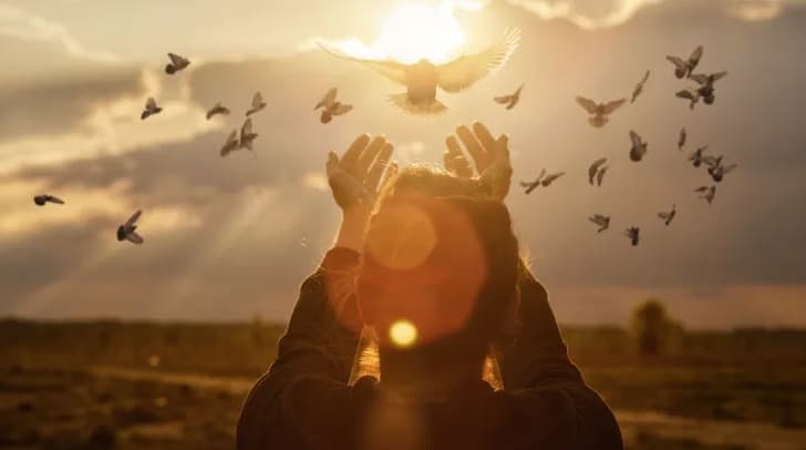 أرَى بِجمِيلِ الظَّنّ ما اللهُ صانعُ!