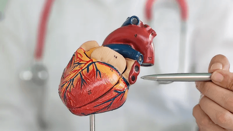 المكملات والهرمونات.. موت سريع للشباب في العشرينيات!