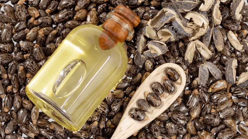 زيت الخروع: فوائد صحية وتجميلية منذ مصر القديمة